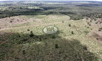 Imagem: Fazenda em Cristalândia- TO