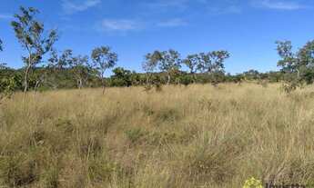 Imagem 2: Fazenda à venda, 3.280 Hectares em Lagoa do Tocantins