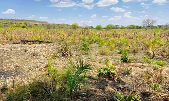 Imagem 4: Fazenda à venda, 2.172 Hectares (448 Alqueires) em Lizarda/TO