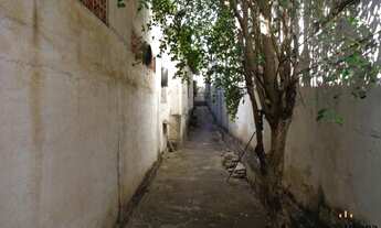 Imagem 3: Belo Horizonte - Casa Padrão - Lagoinha