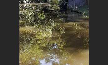 Imagem 7: Chácara para Venda em Suzano, Quinta Divisão, 6 dormitórios, 2 suítes, 2 banheiros, 5 vaga