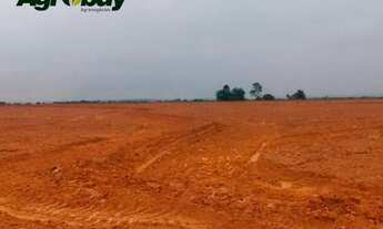 Imagem 2: Fazenda Localizada na Cidade de Peixe - to