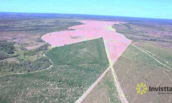 Imagem 4: Fazenda à venda, 1050 Ha - Zona Rural - Rio Sono/TO