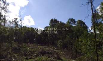 Imagem 6: GRAMADO - Terreno Padrão - Centro