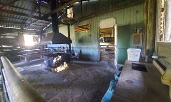 Imagem 6: Chácara a venda em Lages SC