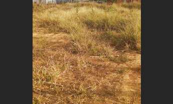 Imagem 7: Lote de 300m² na 26 de Setembro Rua 5