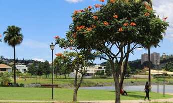 Imagem: Terreno à venda, 880 m² por R$ 1.398.000,00