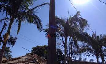 Imagem 5: Terreno urbano às margens do Rio Tibagi