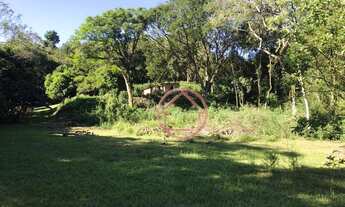 Imagem 5: Chácara/Sítio/Fazenda 10.000m² à venda