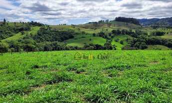 Imagem 6: Maravilhoso terreno a venda na cidade de Socorro, com área de 54.000 m², formado em pasto