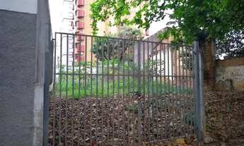 Imagem 3: Casa - Cambuí - Campinas