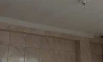 Imagem 5: Pinheirinho/Maria Angelica