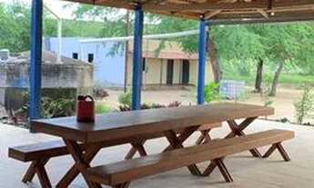 Imagem 6: Fazenda com 2.200 tarefas = 6.655.000 m2 na zona rural de - Araci - BA