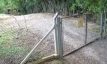 Imagem 4: Venda Paraibuna chácara tamoios km 38