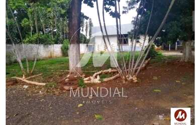 Imagem 6: Chacara (chacara) 10 dormitórios, cozinha planejada