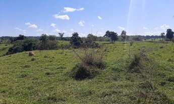 Imagem 5: .. Uma Excelente Fazenda 59 alqueires 42 km do município de Porto Nacional TO