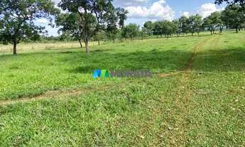 Imagem 4: CURVELO - Fazenda - Zona Rural