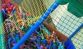 Imagem 4: Espaço / local para festas, batismo, churrascos, comemorações e eventos em geral