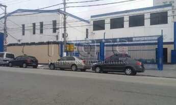 Imagem: SAO PAULO - Galpão/Depósito/Armazém