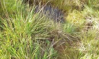 Imagem 4: Chácara Chácara com venda por R$160.000