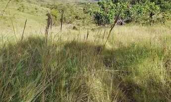 Imagem 5: Chácara Chácara com venda por R$160.000