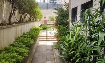 Imagem 6: SãO PAULO - Padrão - Tatuapé