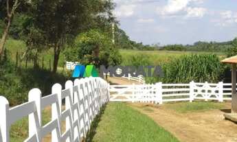 Imagem 7: MATEUS LEME - Fazenda - Zona Rural