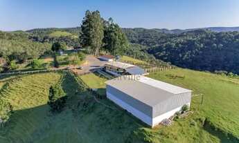 Imagem 5: Campo Largo - 52 Alq, Pra confinamento ou Haras ou Reflorestamento. 700m do asfalto