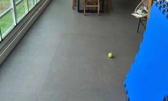 Imagem 6: Apartamento com 4 dormitórios para alugar, 202 m² por R$ 13.000/mês - Centro Empresarial T