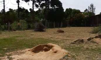 Imagem: Velleda oferece Terreno em condomínio fechado