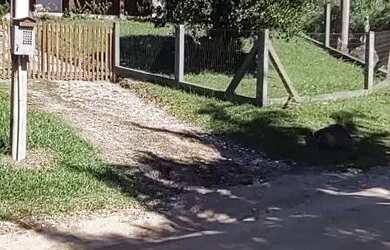 Imagem 6: Vendo Chácara com venda por R$400.000