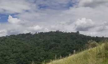 Imagem: 2,4 Hectares em pasto com casa simples 200