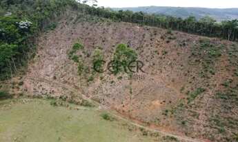 Imagem 5: 2449 - Ótima Fazendinha de 32 HA, limpa formada, em ótimo local com ótimo preço