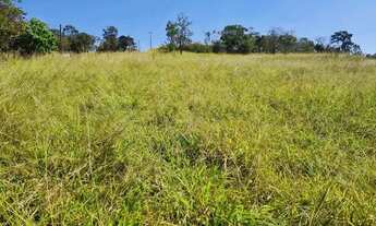 Imagem 7: Fazenda a venda em Alexânia - Goiás!!!