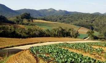 Imagem 4: Sítio em SJP-PR com 36.663.00 m2