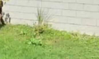 Imagem 5: Casa à venda no Condomínio Residencial Reserva do Bosque - Goiânia