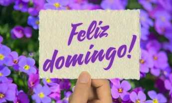 Imagem: Vendo uma casa na vila norma