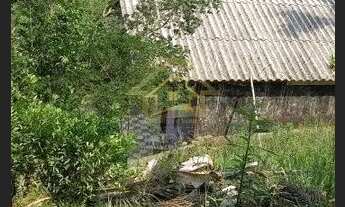 Imagem 6: CHÁCARA NO TIGRE