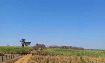 Imagem 5: FAZENDA COM 200 ALQUEIRES PAULISTA, EM DIRCE REIS- SP