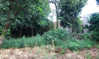 Imagem 4: Terrenos Padrão em Sertãozinho