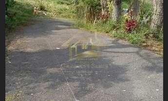 Imagem 5: CHÁCARA NO TIGRE