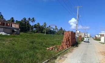 Imagem: Terreno localizado em Peroba, Maragogi!