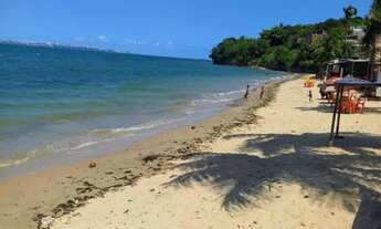 Imagem 4: Vendo Terreno na Ilha------Leia