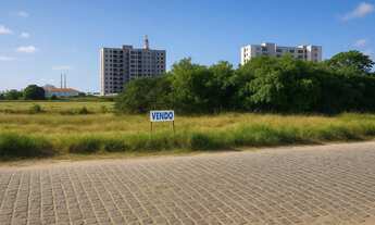 Imagem: Terreno Lote Luar da Barra 2 Avenida Principal