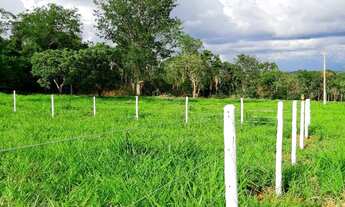 Imagem 2: Chácara à 32 km de Goiânia - Em Bonfinópolis-GO