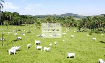 Imagem: Fazenda para Venda em Bela Vista de Goiás