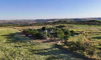 Imagem 6: ALEXANIA -GO FAZENDA COMPLETA 7,5 ALQUEIRES PARA VENDA