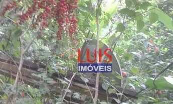 Imagem 3: Terreno à venda, 800 m² por R$ 200.000,00 - Várzea das Moças - Niterói/RJ