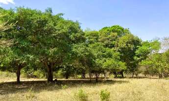 Imagem 7: Chácara de 27.500 m² em Bela Vista de Goiás