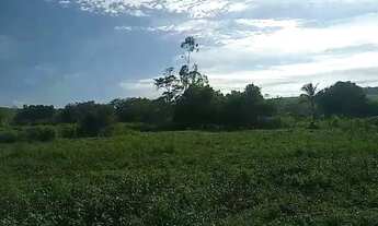 Imagem 4: Venda-se este terreno de 21.000 M2 para a construção de sítio no interior do Município de